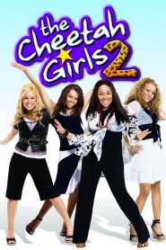 The Cheetah Girls 2: When in Spain