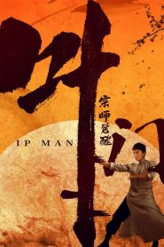 Master Ip Man: The Awakening
